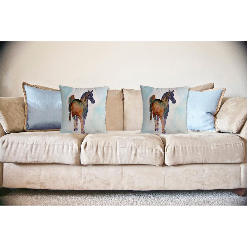Colt No Cord Pillow 18x18