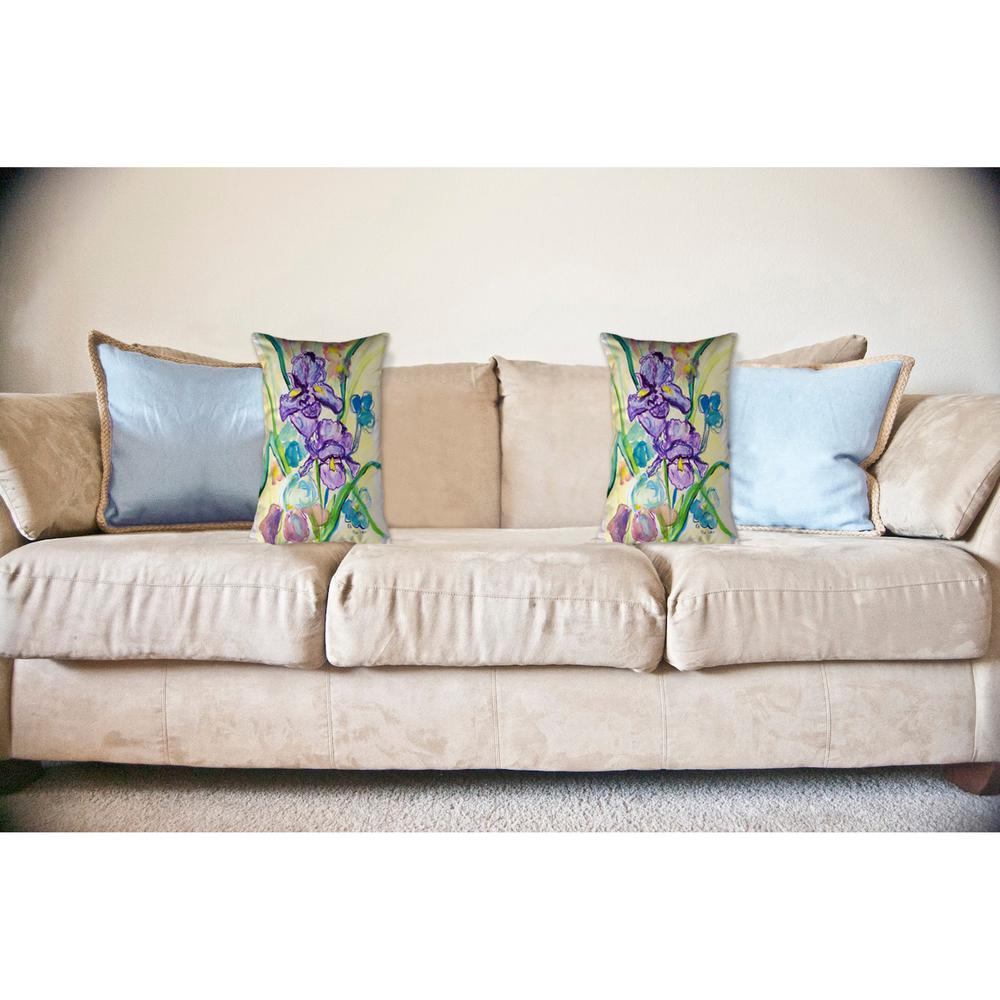Two Irises No Cord Pillow 16x20