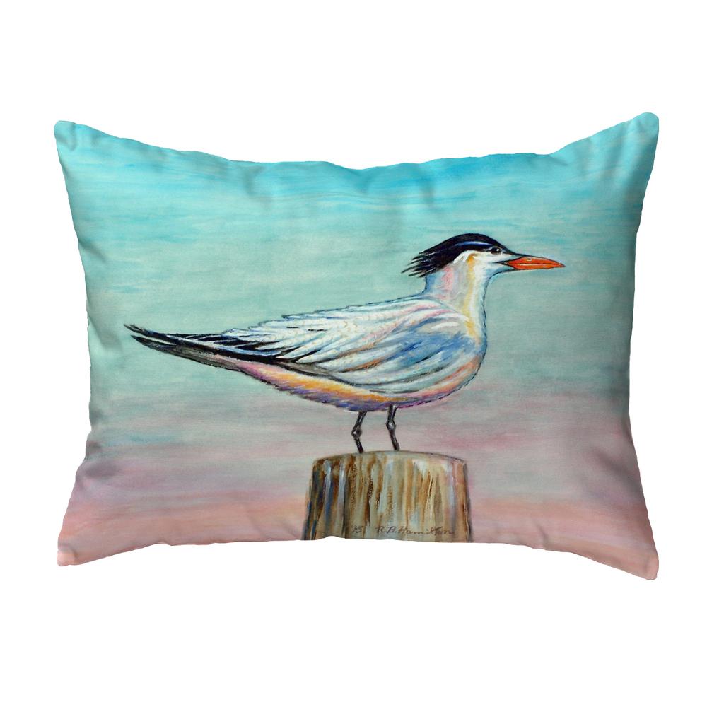 Royal Tern No Cord Pillow 16x20