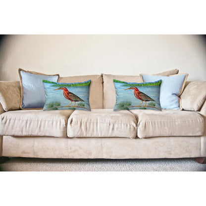 Green Heron II No Cord Pillow 16x20