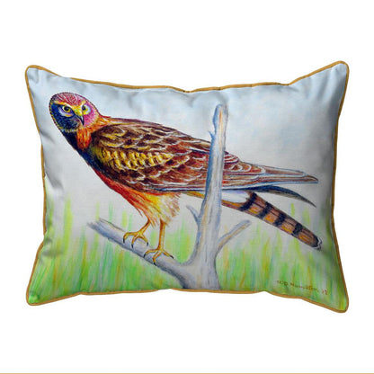 Marsh Hawk Small Indoor/Outdoor Pillow 11x14
