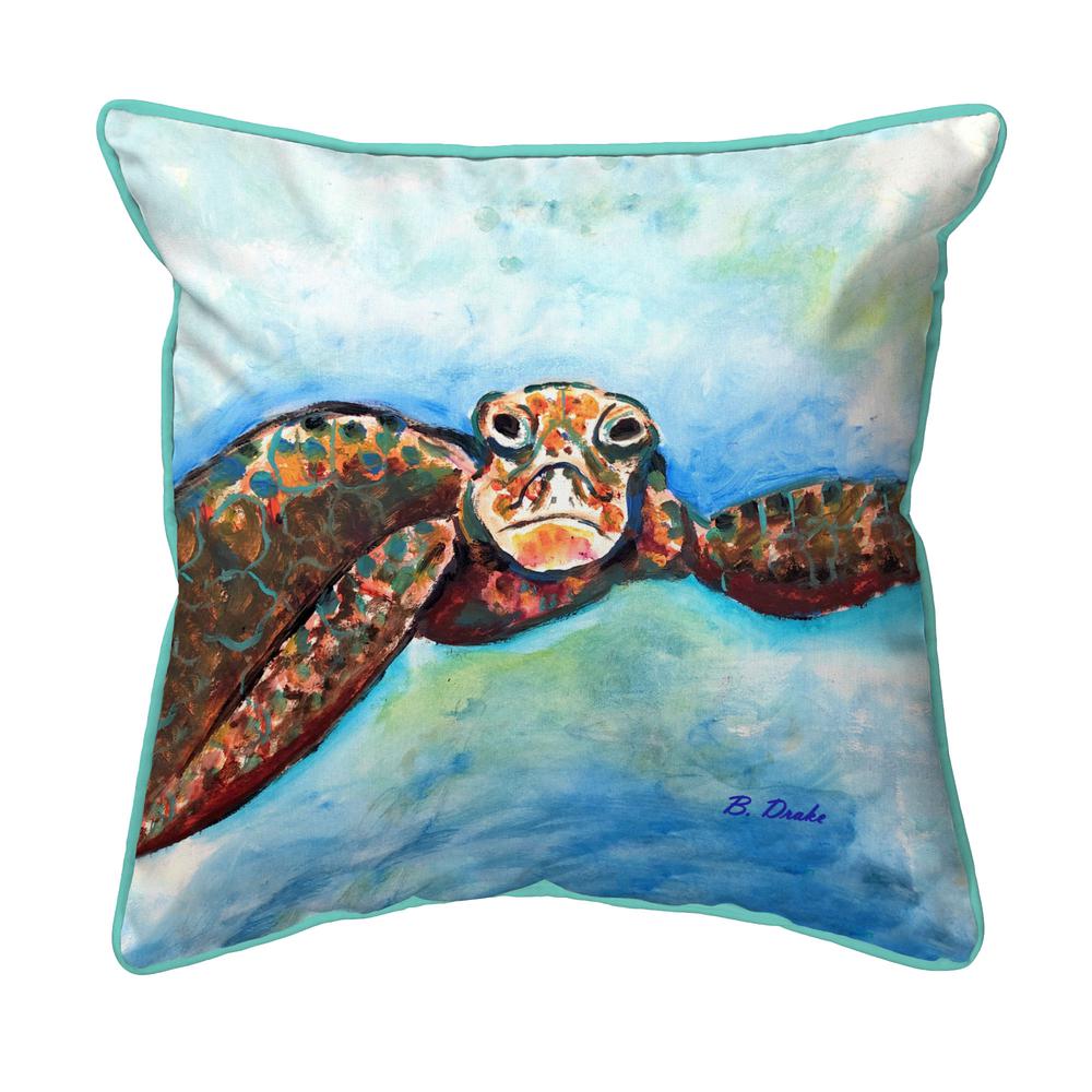 Turtle Looking At Me Small Indoor/Outdoor Pillow 12x12