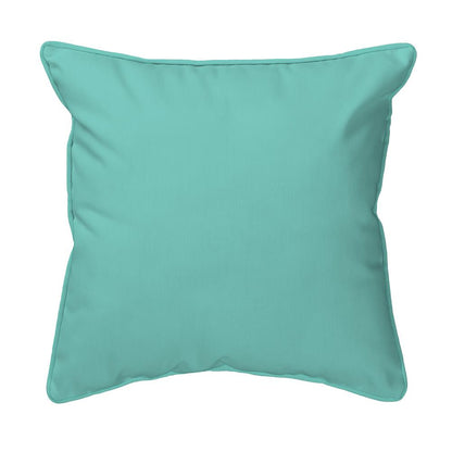 Turtle Looking At Me Small Indoor/Outdoor Pillow 12x12