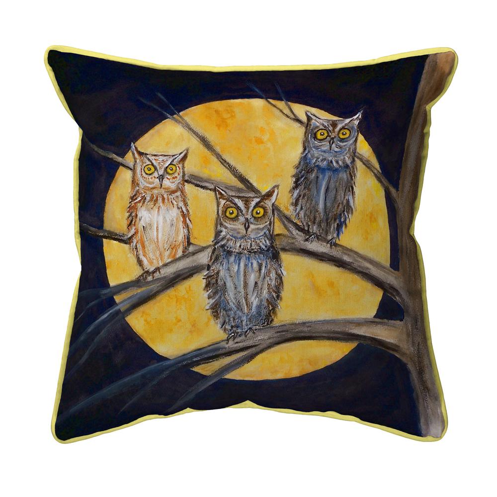 Night Owls Small Indoor/Outdoor Pillow 12x12