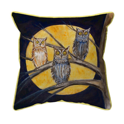 Night Owls Small Indoor/Outdoor Pillow 12x12