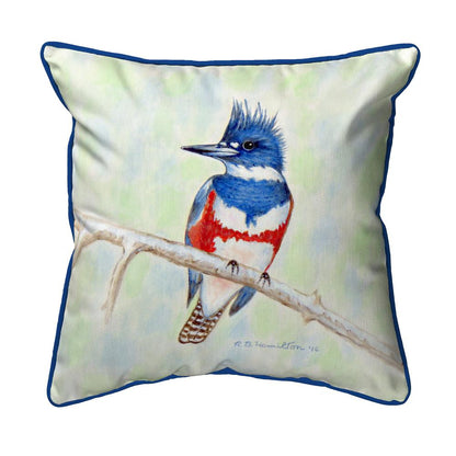 Kingfisher Small Indoor/Outdoor Pillow 12x12