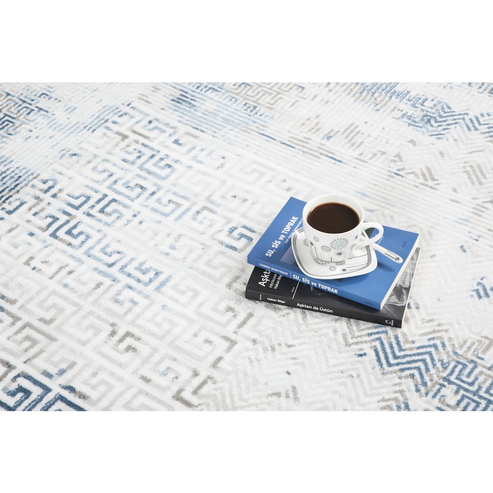 TRENDY COLLECTION  TRD14  7'10" X 10'6"