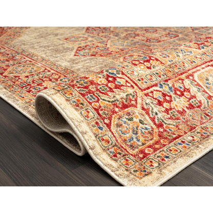 HERIZ COLLECTION HZ02  5'2" X 7'6"