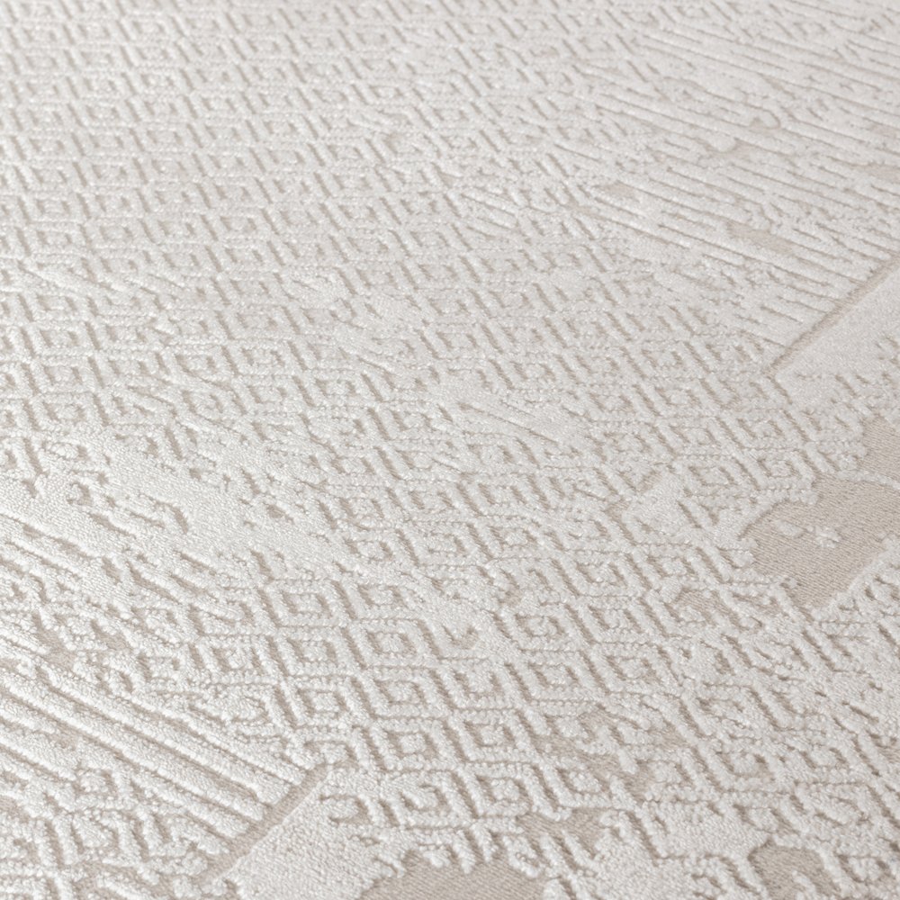Omari Collection 08 Eroded Minimal Border Texture Area Rug