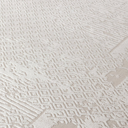 Omari Collection 08 Eroded Minimal Border Texture Area Rug