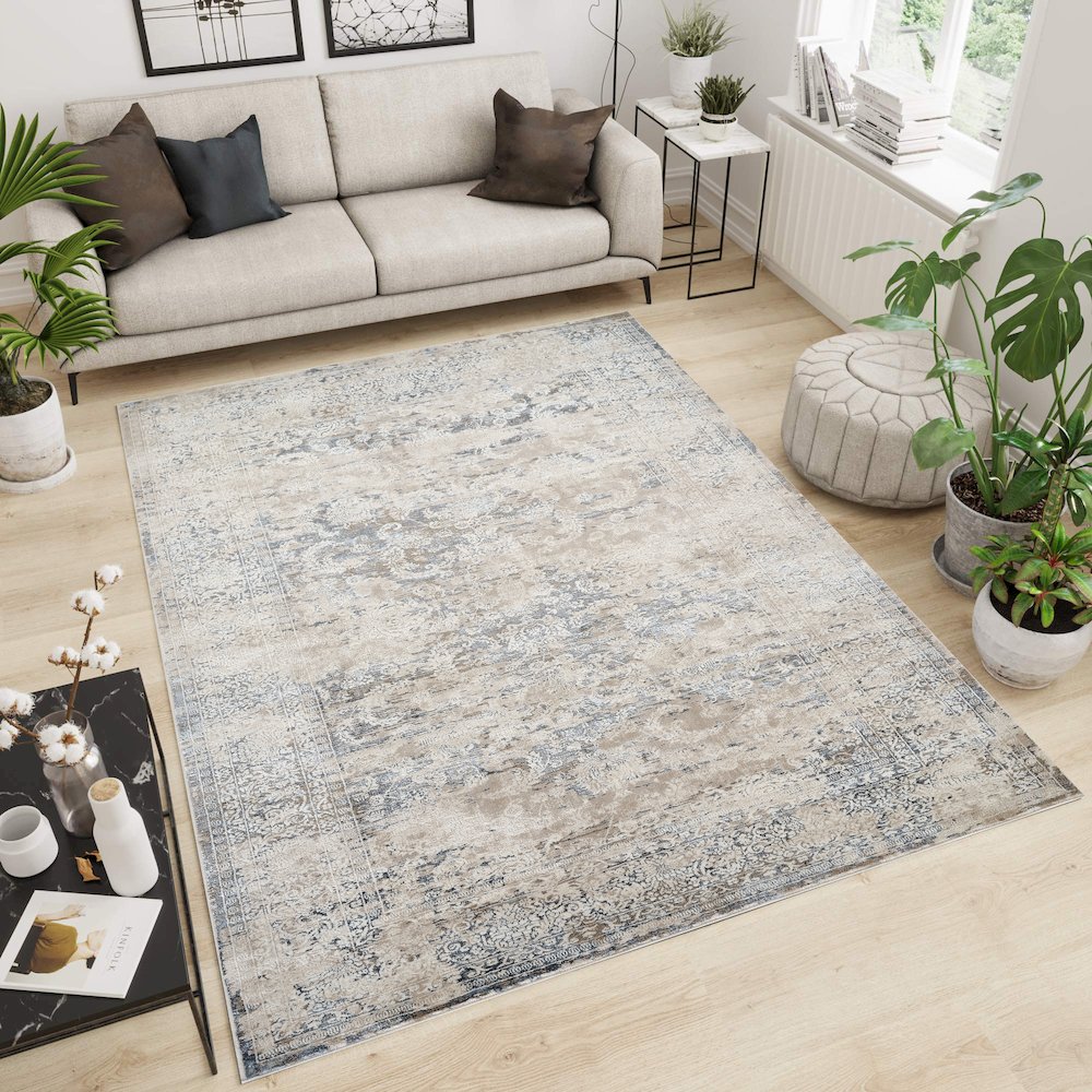 Omari Collection 15 Distressed Transitional Medallion Area Rug