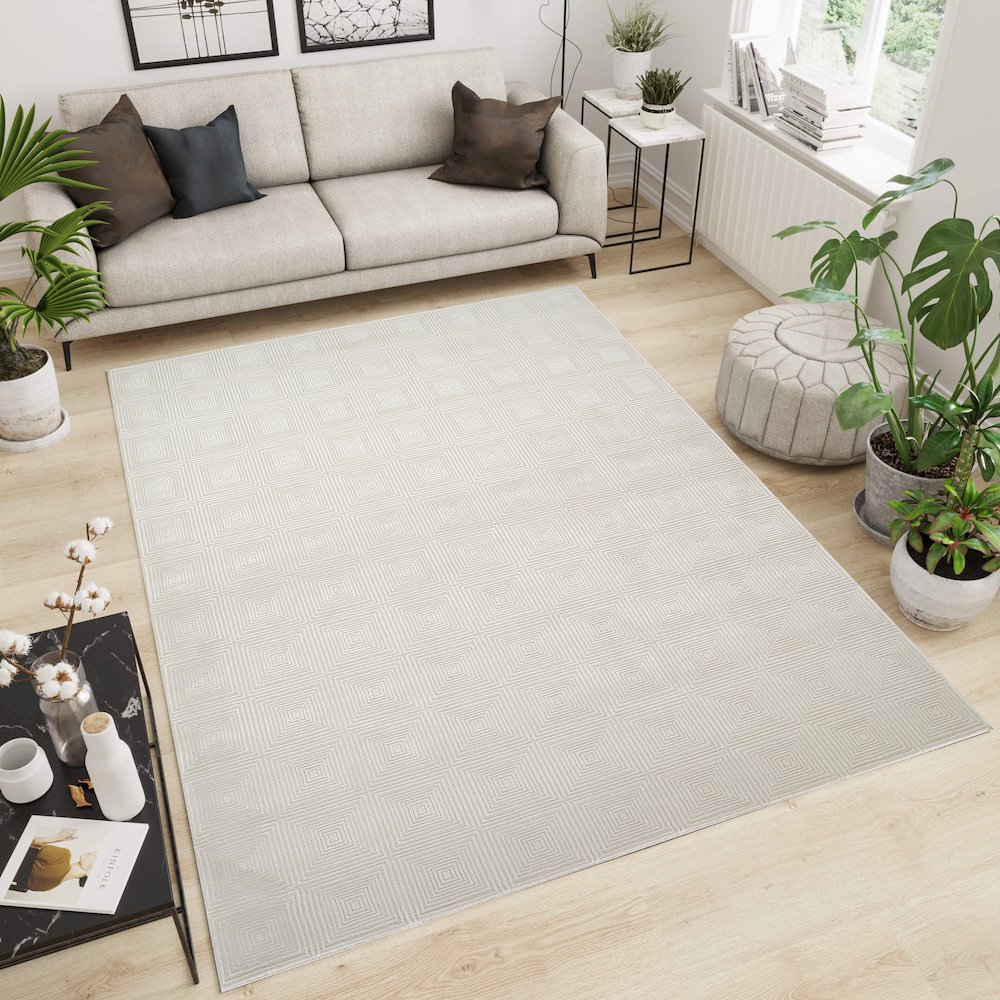 Omari Collection 16 Minimal Geometric Texture Area Rug