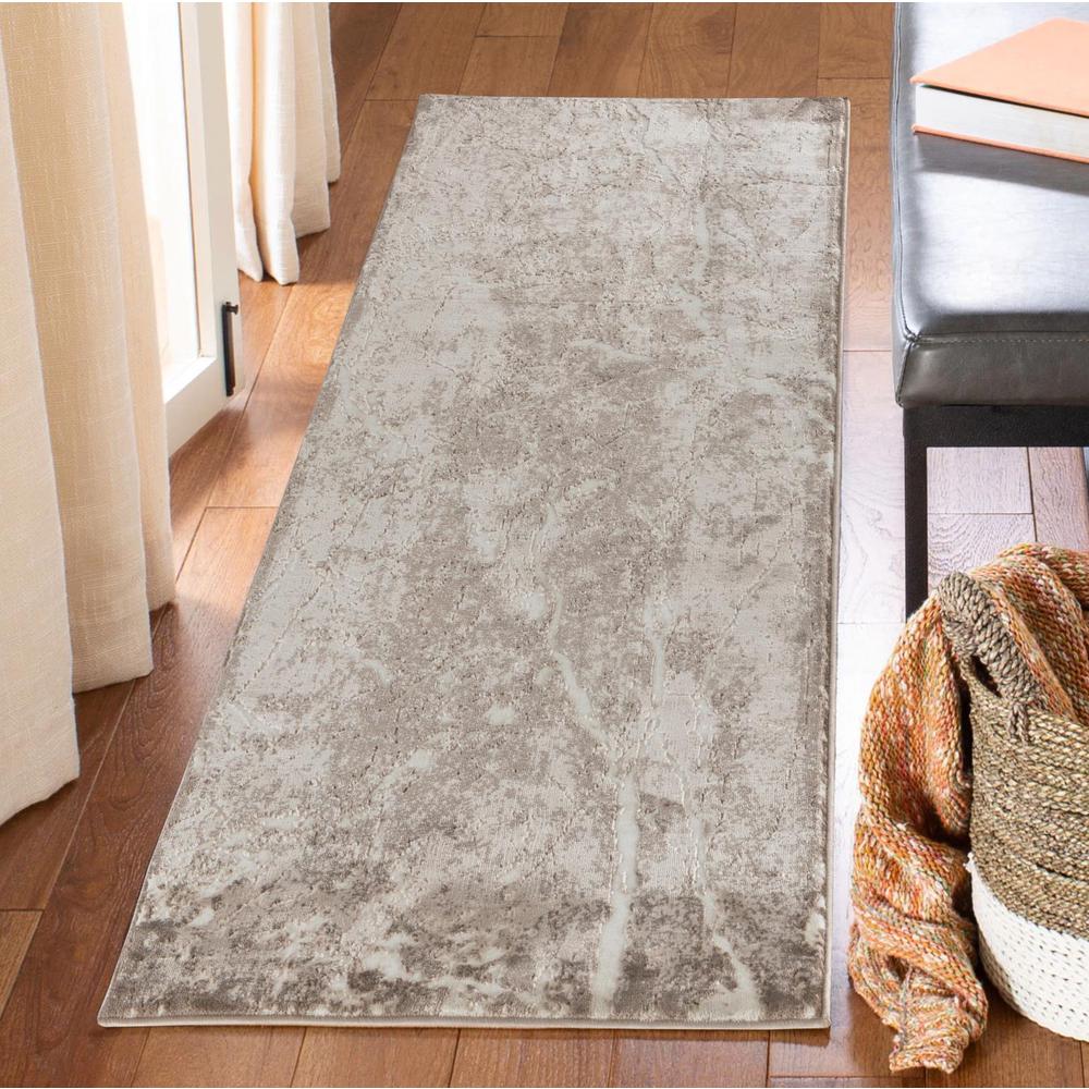 PETRA COLLECTION PT12  2'8'' X 8'1''