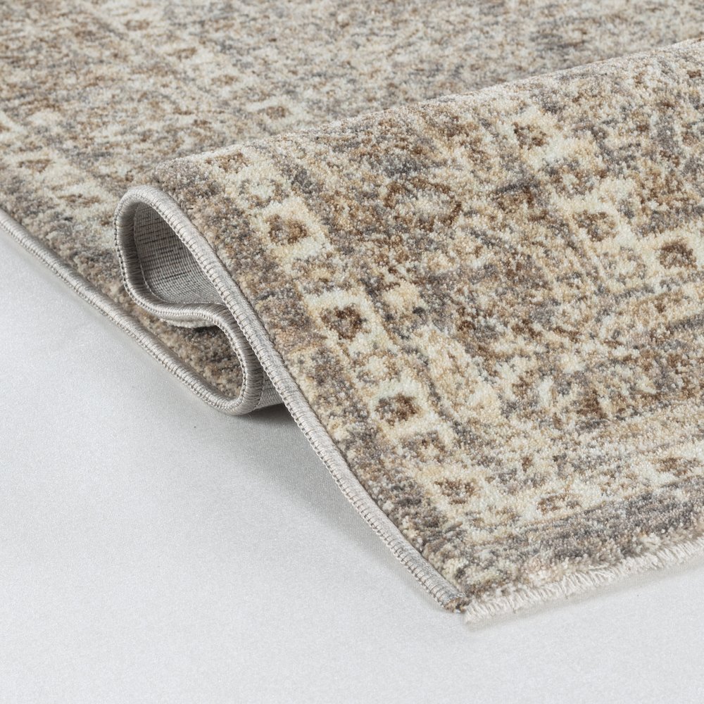 Stellios Collection 05 Distressed Diamond Pattern Area Rug - Beige