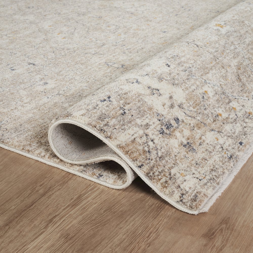 Stellios Collection 06 Vintage Floral Area Rug - Beige