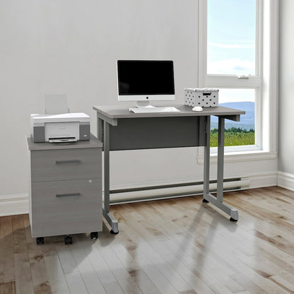Basic Small Desk 24 X 36 Ash / Gray