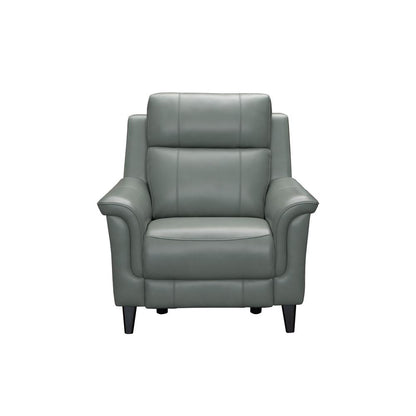 Kester Power Recliner w/Power Head Rest