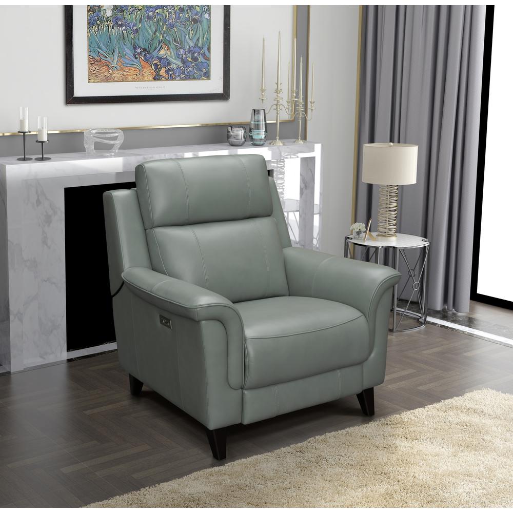 Kester Power Recliner w/Power Head Rest