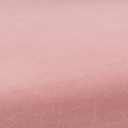 Kim Performance Velvet Chair in Blush