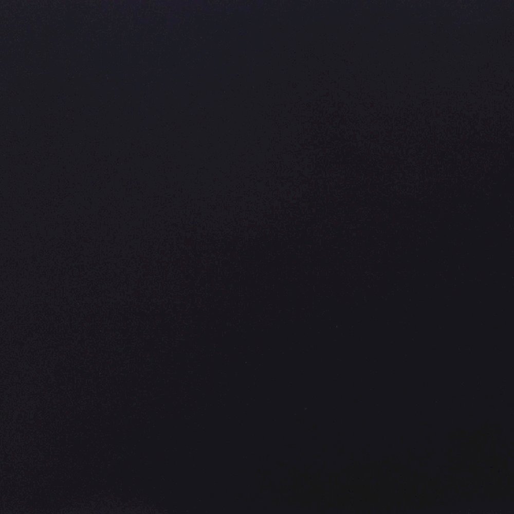 Ziva Black Velvet Storage Bench