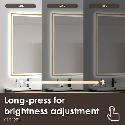 48"x30" Rectangular Wall Mirror in Brushed Gold Aluminum Framed