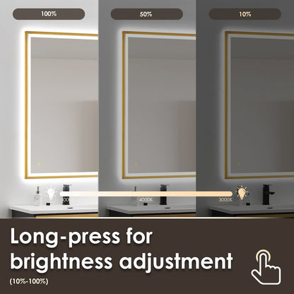60"x30" Rectangular Wall Mirror in Brushed Gold Aluminum Framed