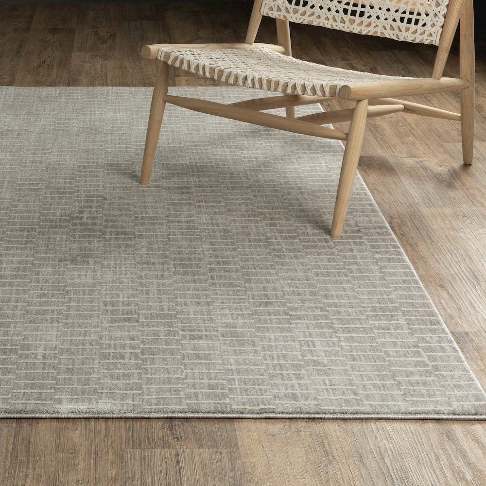 Oliver OLV01 Grey/ Beige Indoor Area Rug - 3'3" x 5'