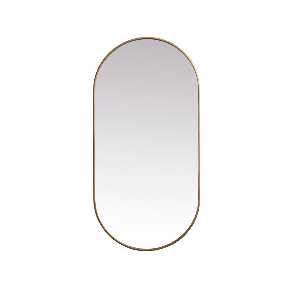 Metal Frame Oval Mirror 30x60 Inch in Brass
