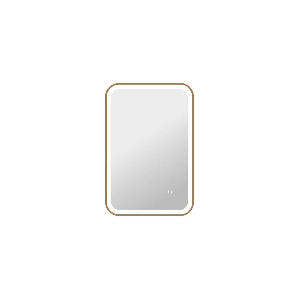 30 Inch Rectangle LED Front and Backlit Wall Mirror in Satin Gold