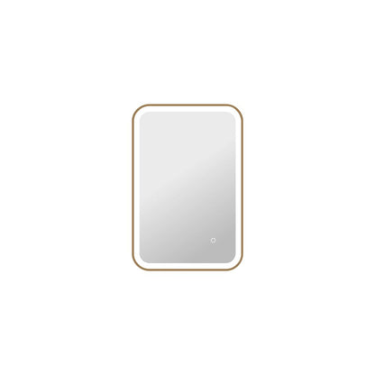 30 Inch Rectangle LED Front and Backlit Wall Mirror in Satin Gold
