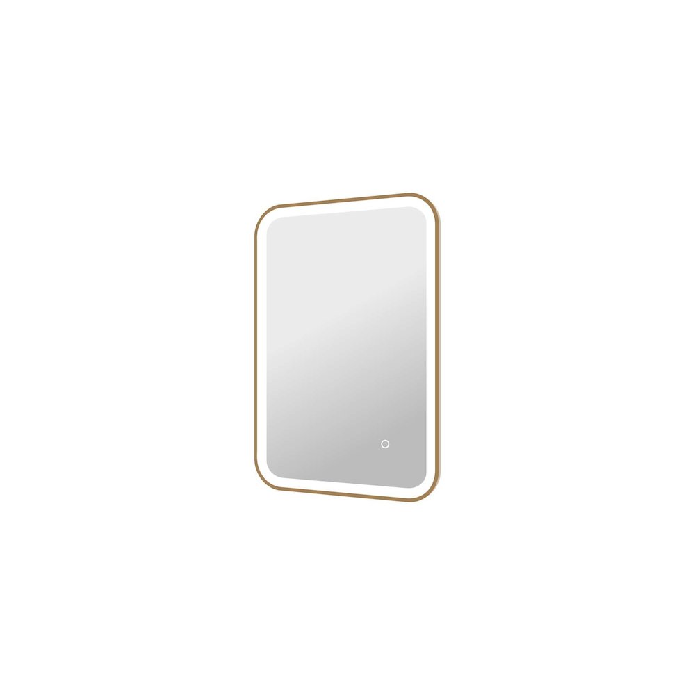 30 Inch Rectangle LED Front and Backlit Wall Mirror in Satin Gold