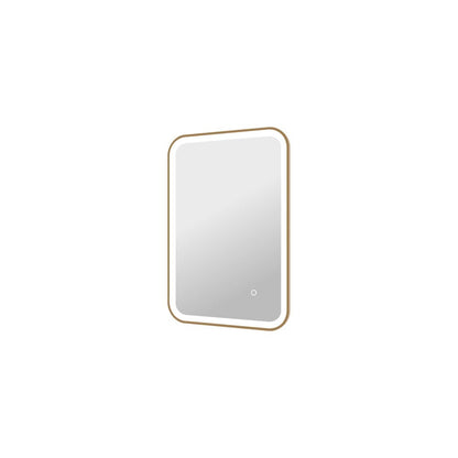 30 Inch Rectangle LED Front and Backlit Wall Mirror in Satin Gold