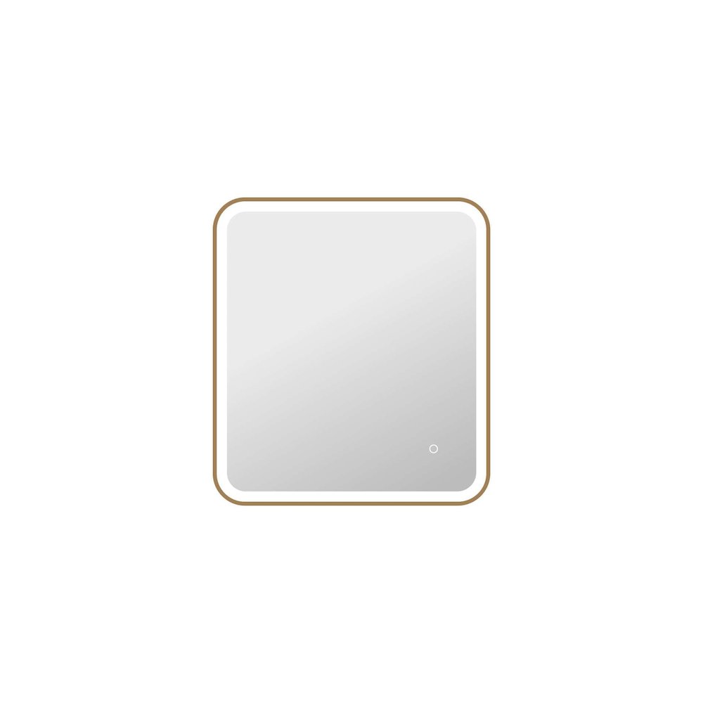 30 Inch Rectangle LED Front and Backlit Wall Mirror in Satin Gold