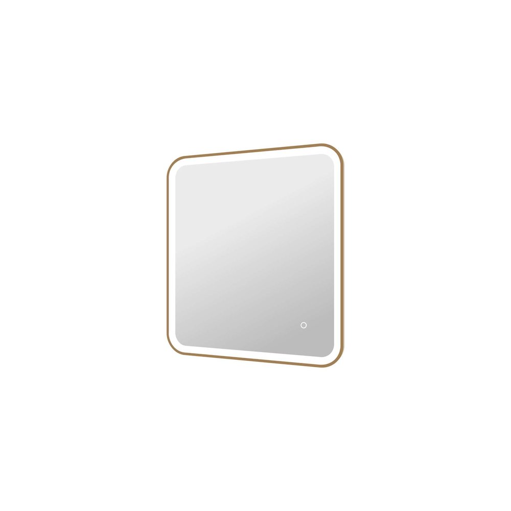 30 Inch Rectangle LED Front and Backlit Wall Mirror in Satin Gold