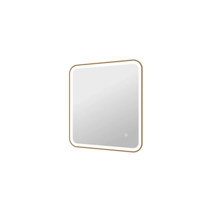 30 Inch Rectangle LED Front and Backlit Wall Mirror in Satin Gold