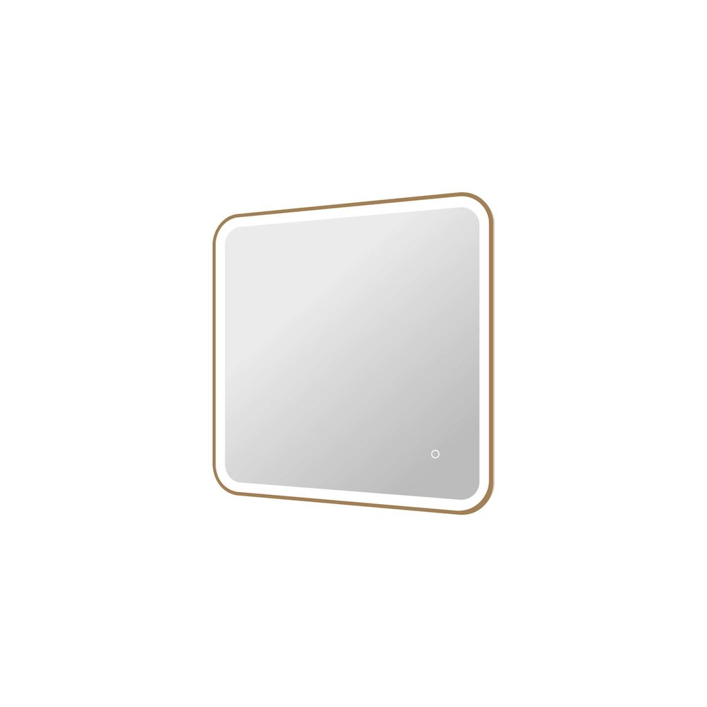 30 Inch Rectangle LED Front and Backlit Wall Mirror in Satin Gold