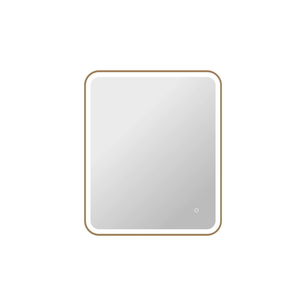36 Inch Rectangle LED Front and Backlit Wall Mirror in Satin Gold