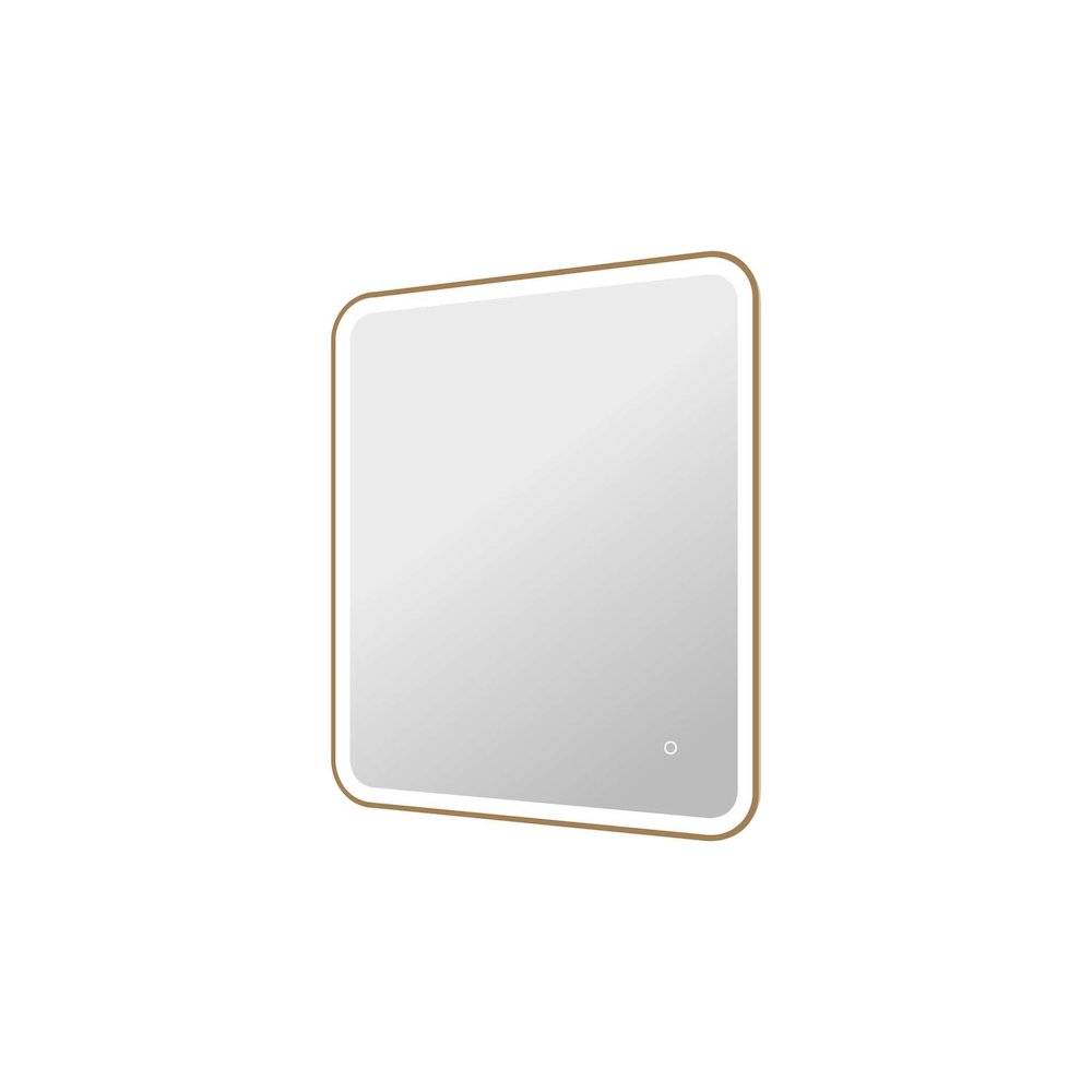 36 Inch Rectangle LED Front and Backlit Wall Mirror in Satin Gold
