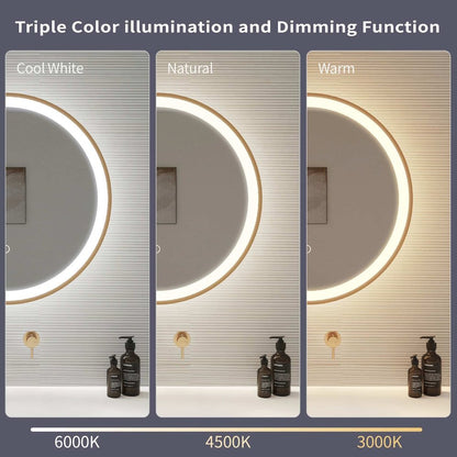 21 Round LED Front and Backlit Wall Mirror in Satin Gold