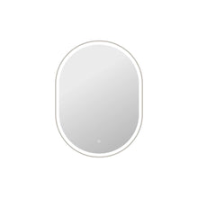 40 Inch Oval LED Front and Backlit Wall Mirror in Silver
