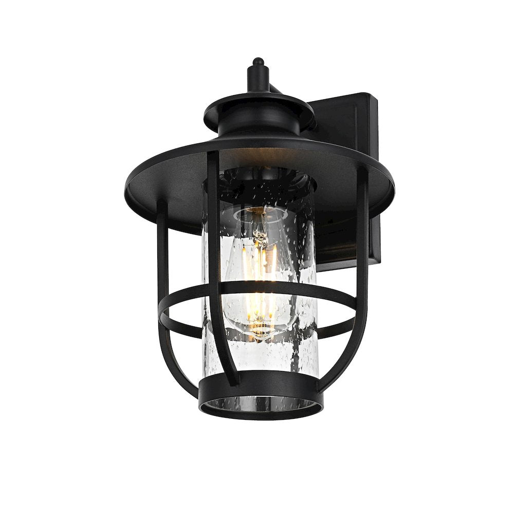 Janney 7 inch Outdoor Pendant in Black