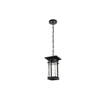 Livingston 7 inch Outdoor Pendant in Black