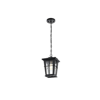 Bodine 7 inch Outdoor Pendant in Black