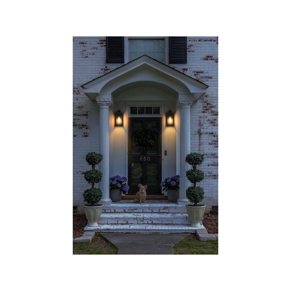 Shepard 6 inch Outdoor Wall Sconce in Black
