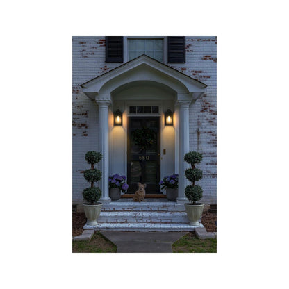 Shepard 6 inch Outdoor Wall Sconce in Black