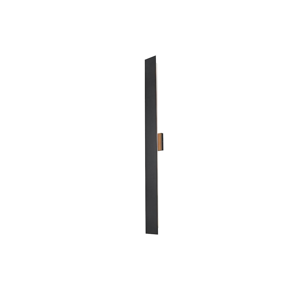 Waylen 4.5 x 48 inch Outdoor Wall Sconce in Black