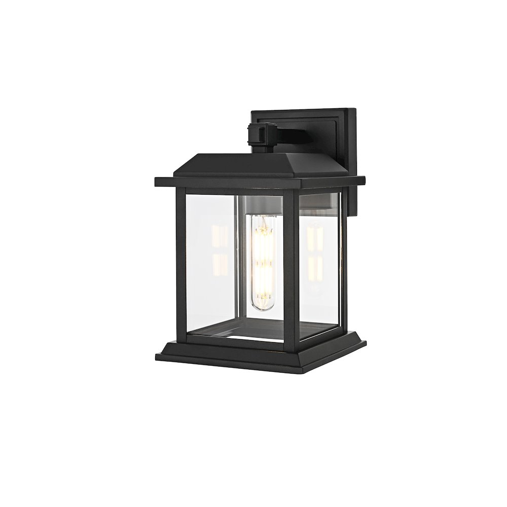 Araceli 10 inch Outdoor Wall sconce in Black
