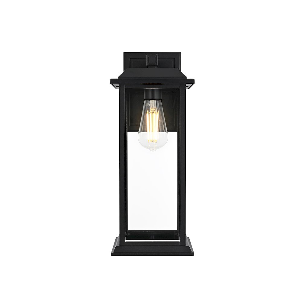 Araceli 17 inch Outdoor Wall sconce in Black