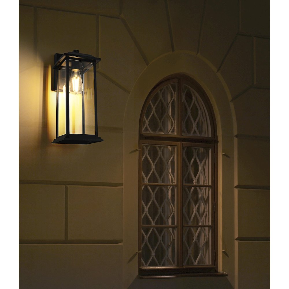 Araceli 17 inch Outdoor Wall sconce in Black