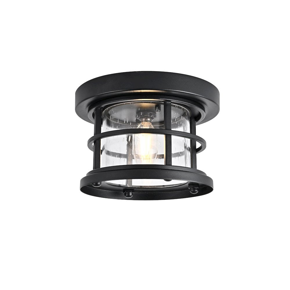 Carla 8 inch Outdoor Flush Mount in Black